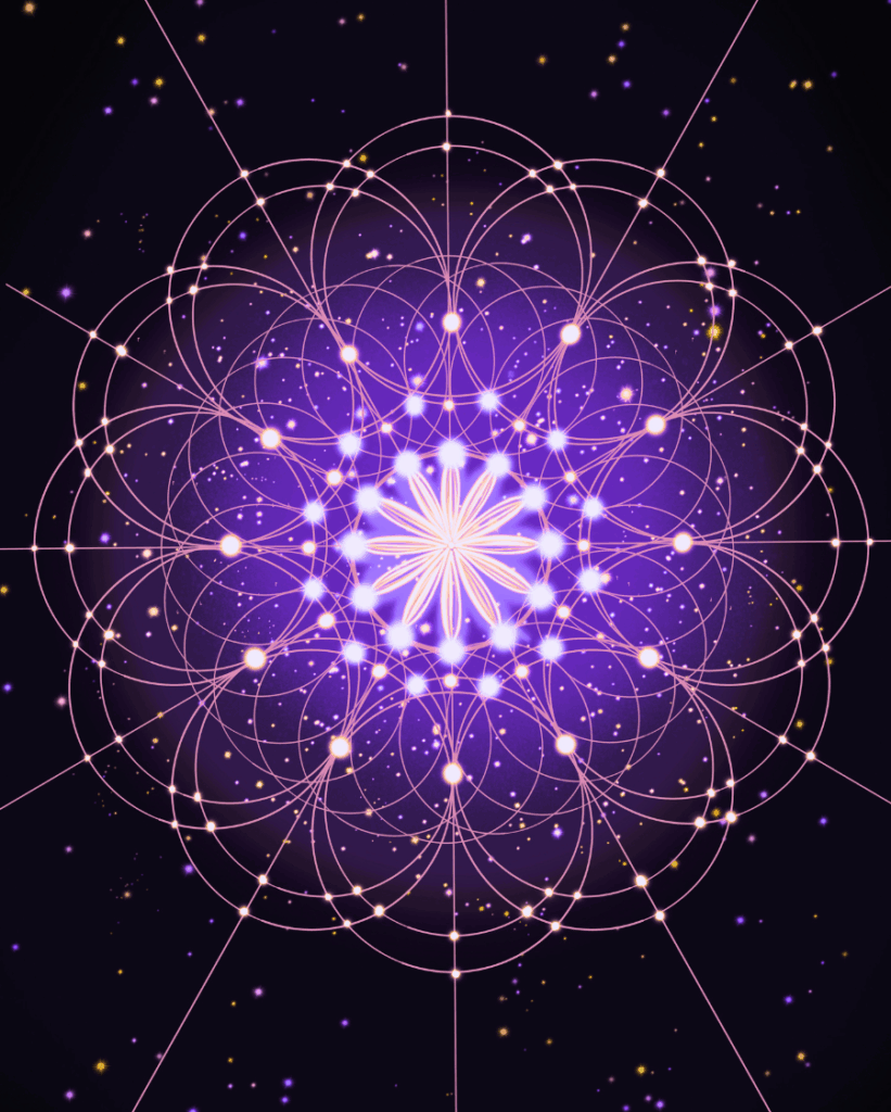 divine soul colecction, soul soul academy metamorfosis, ulricagasol.com