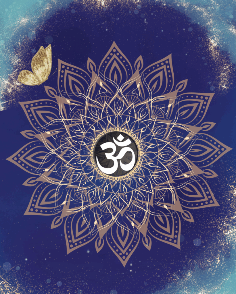 divine soul colecction, soul soul academy metamorfosis, ulricagasol.com